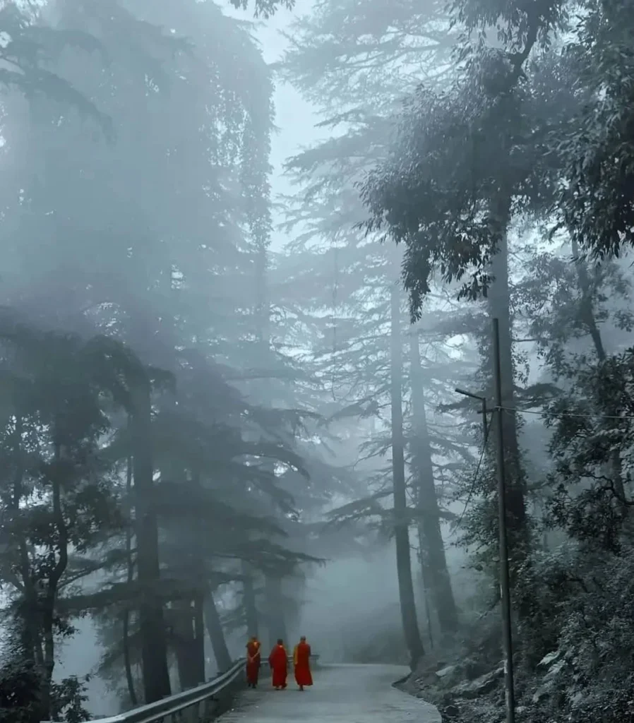 The Bohemian Charm of  Dharamkot  ​