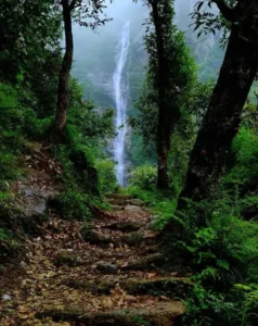 Khabru Waterfall: A Peaceful Escape Near Dharamshala 🌿