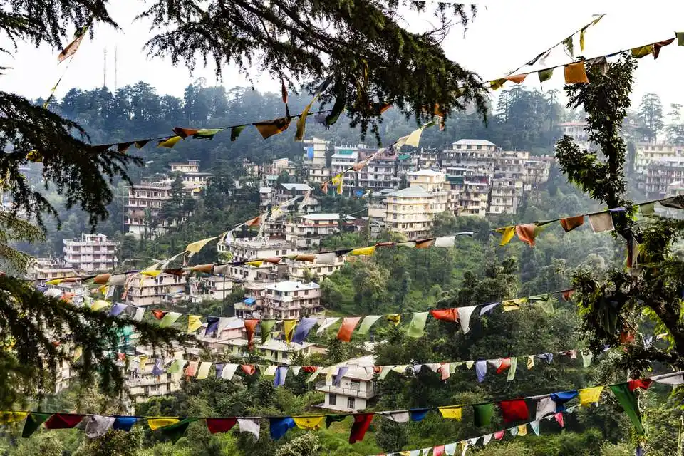 Thatri, Himachal Pradesh: Hidden Village Near Dharamshala You Should Visit